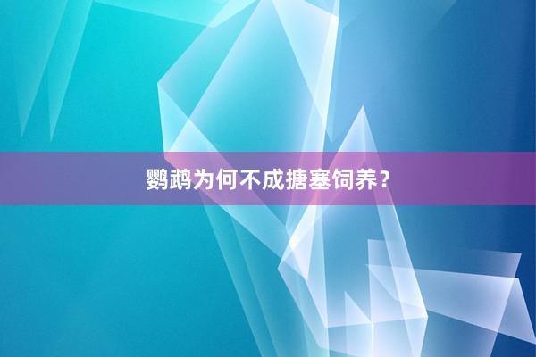 鹦鹉为何不成搪塞饲养？